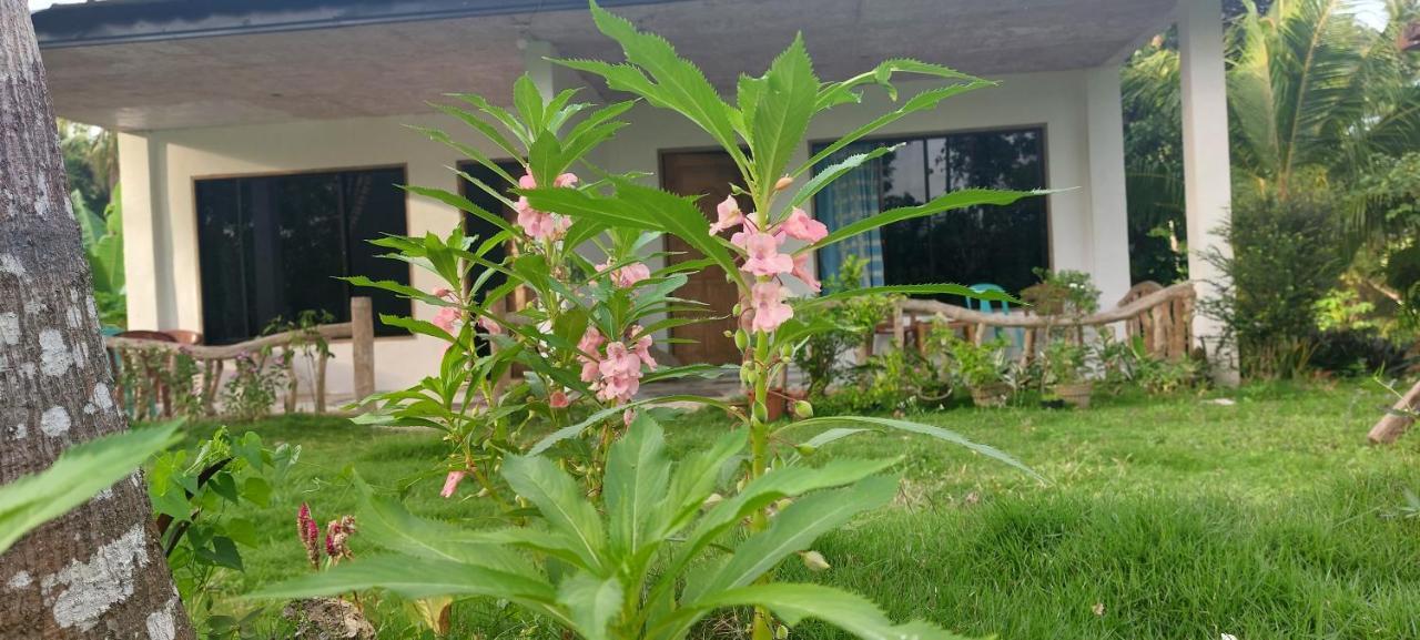 Andnindot Garden Resort أندا المظهر الخارجي الصورة