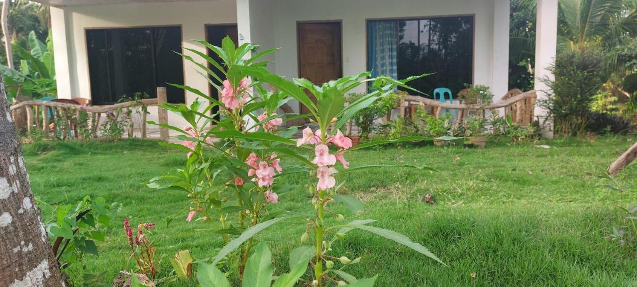 Andnindot Garden Resort أندا المظهر الخارجي الصورة