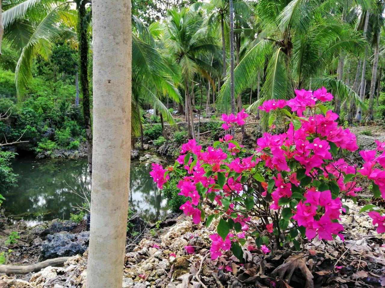Andnindot Garden Resort أندا المظهر الخارجي الصورة
